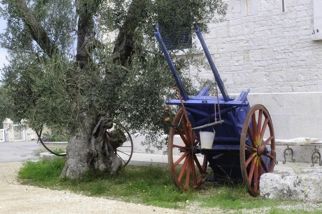 Tenuta Lama Gorga Trani Zewnętrze zdjęcie